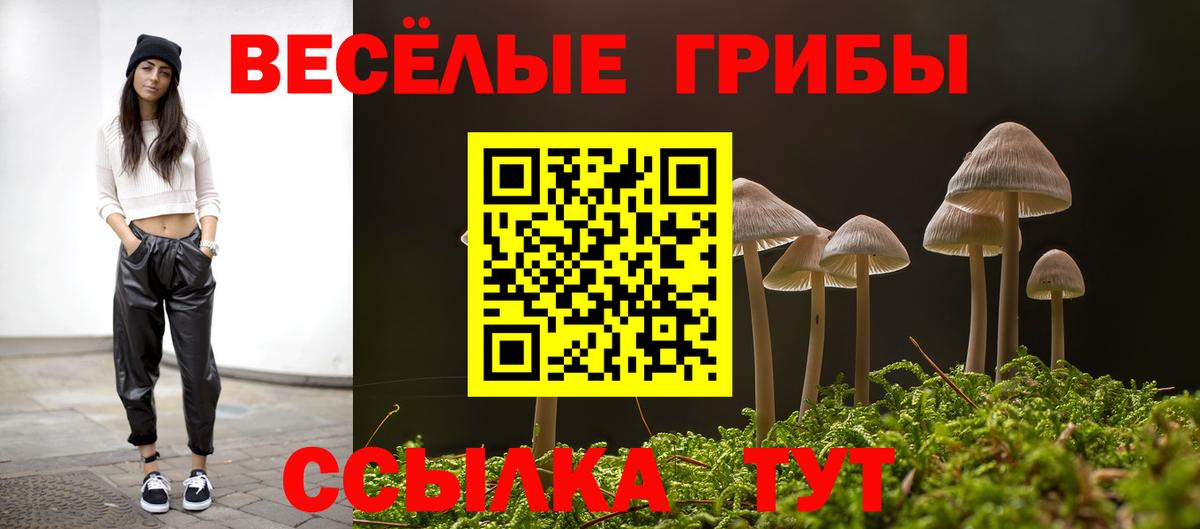 Псилоцибиновые грибы Psilocybe Павловский Посад
