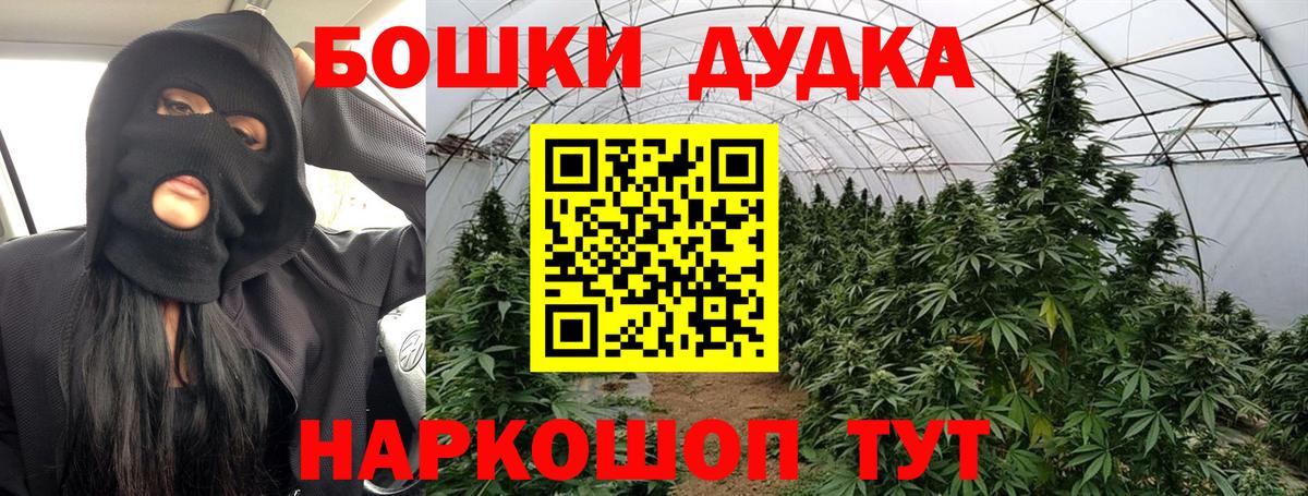 Бошки Шишки ГИДРОПОН  Вход с VPN  Павловский Посад  Шишки марихуана гибрид 